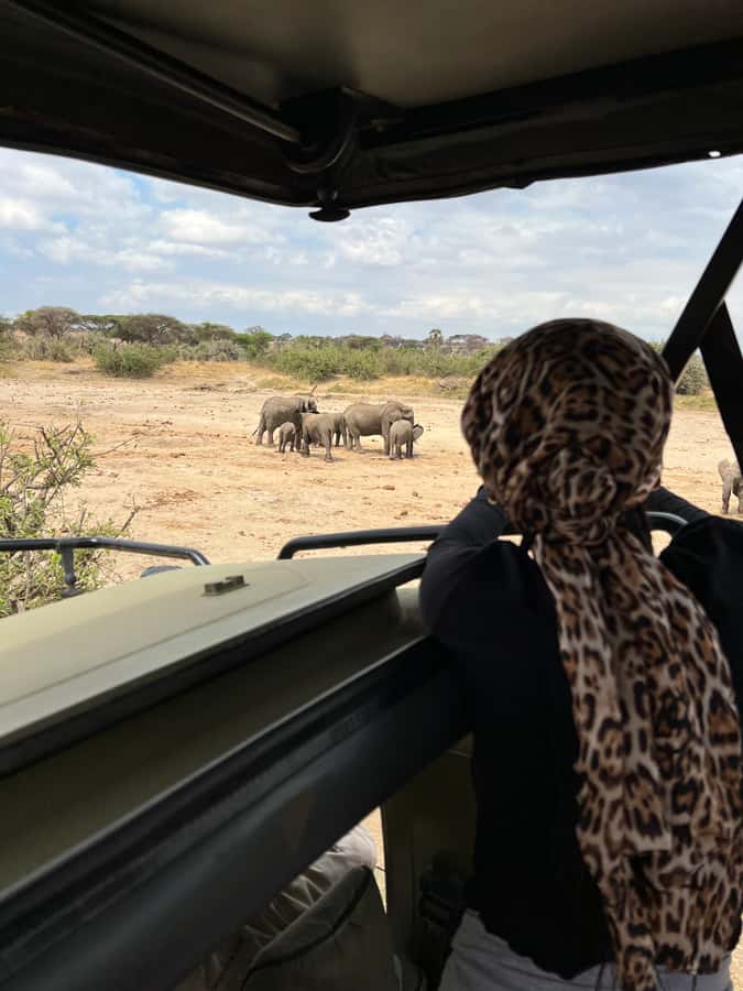 From Zanzibar: Nyerere National Park Game Drive with Lunch - What the game drive feels like