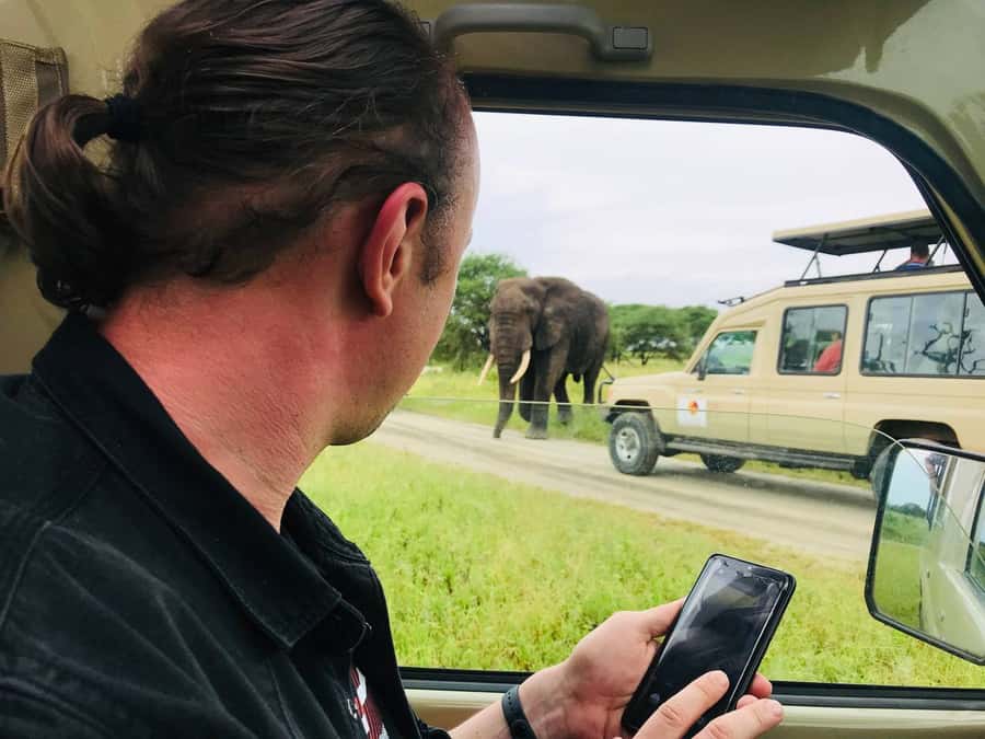 From Zanzibar: Nyerere National Park Game Drive with Lunch - The afternoon search and return flight