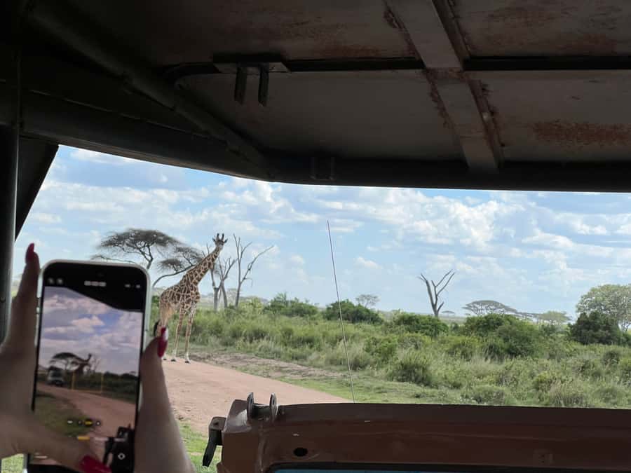 From Zanzibar: Nyerere National Park Game Drive with Lunch - What the $550 price really covers