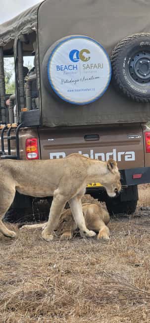 From Zanzibar: Overnight Selous G.R. Safari with Flights - Practical details that affect the day