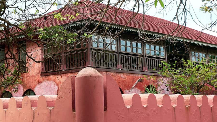 From Zanzibar: Prison Island With Nakupenda Tour - Private groups, languages, and guide quality