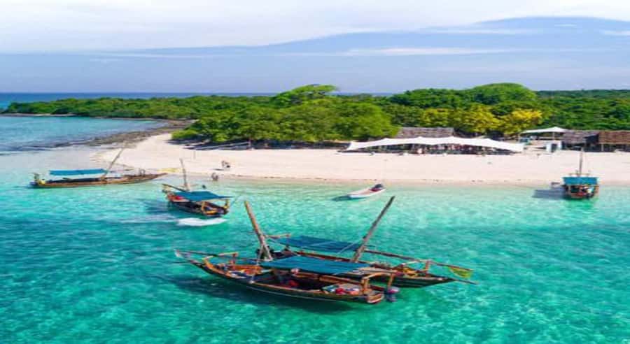 From Zanzibar: Safari Blue Snorkeling Trip with Lunch - From your hotel to Fumba village