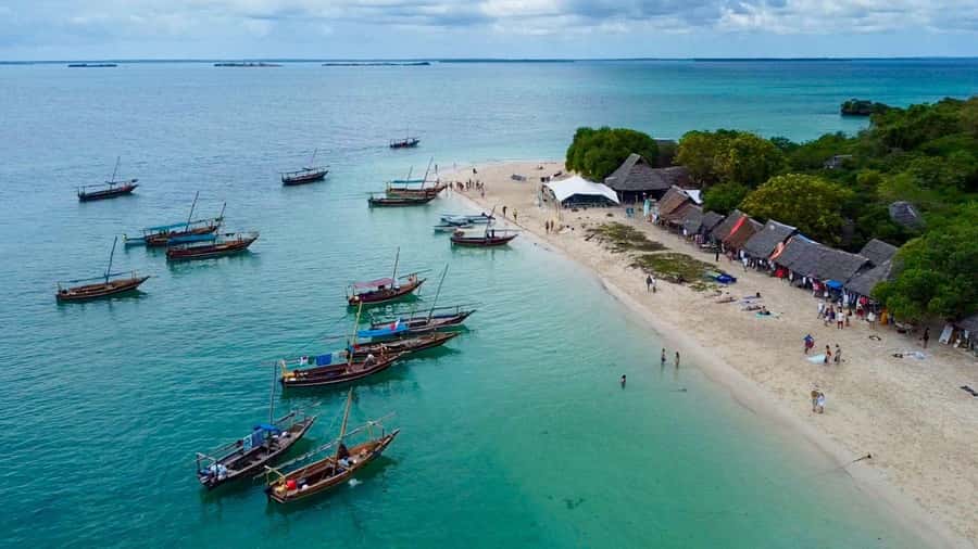 From Zanzibar: Safari Blue Snorkeling Trip with Lunch - Crowds, delays, and the real pace of the day