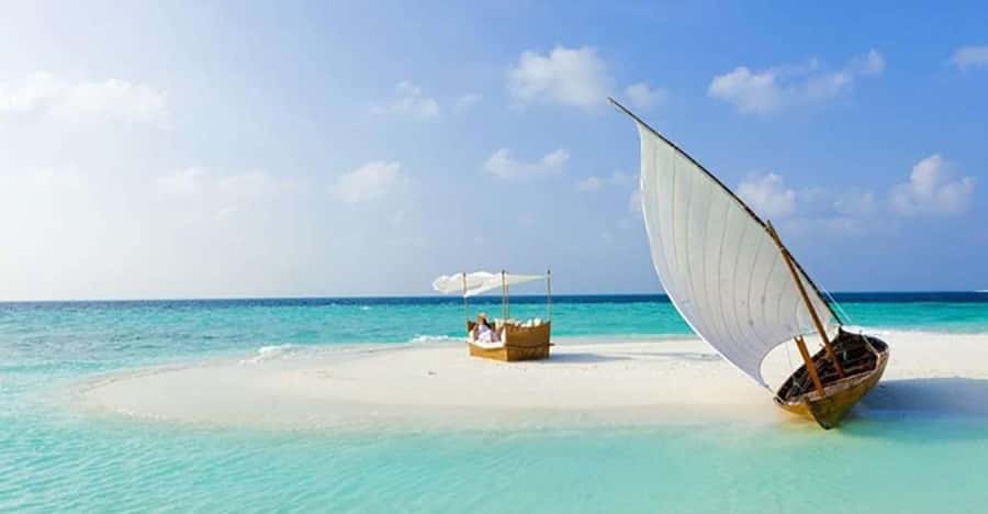 From Zanzibar: Safari Blue Snorkeling Trip with Lunch - Who will enjoy Safari Blue most