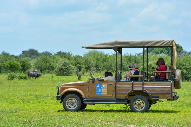 From Zanzibar: Selous Game Reserve Day Safari with Flights - Coffee beside hippos and a proper bush lunch