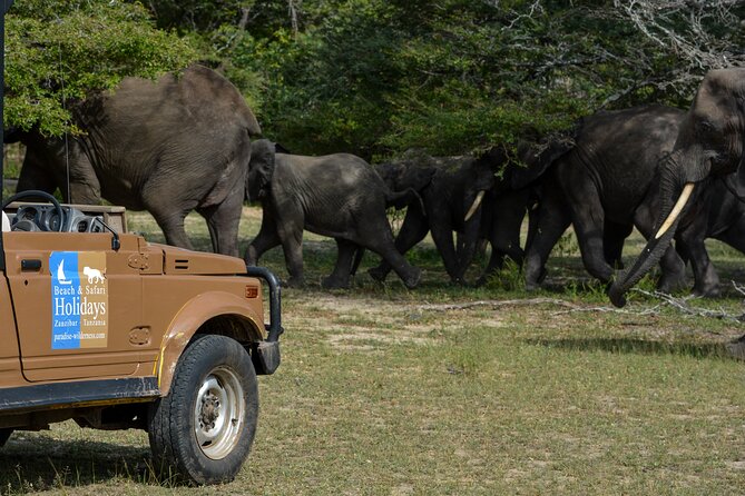From Zanzibar: Selous Game Reserve Day Safari with Flights - Who will enjoy this safari most?