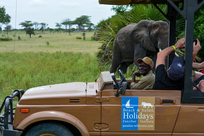 From Zanzibar: Selous Game Reserve Day Safari with Flights - The short flight to the reserve