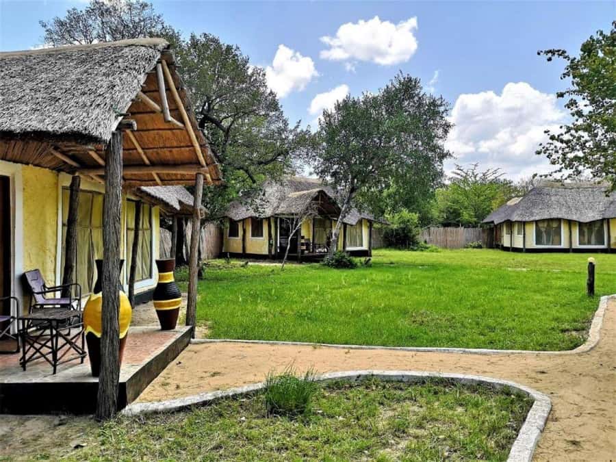 From Zanzibar: Selous Game Reserve Full-Day Safari - Service, communication, and guide quality