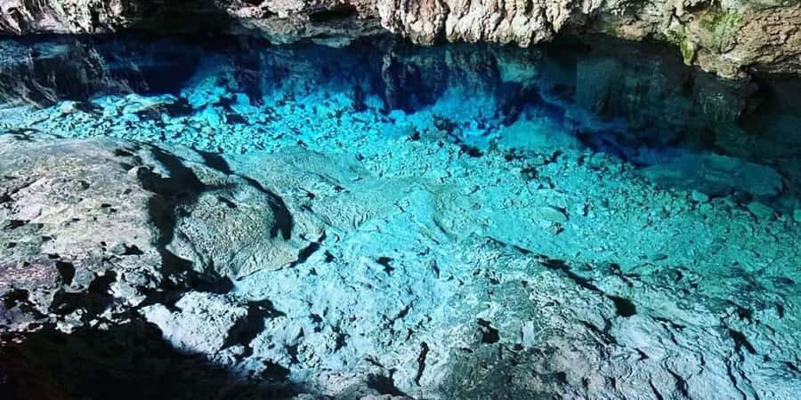 From Zanzibar: Starfish, Blue Lagoon, & The Rock Restaurant - Key points at a glance