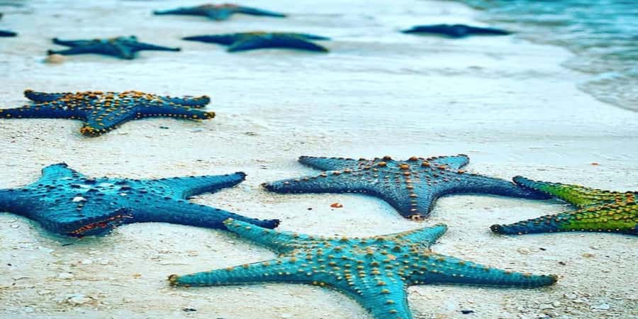 From Zanzibar: Starfish, Blue Lagoon, & The Rock Restaurant - The Rock Restaurant: a famous setting with a separate bill