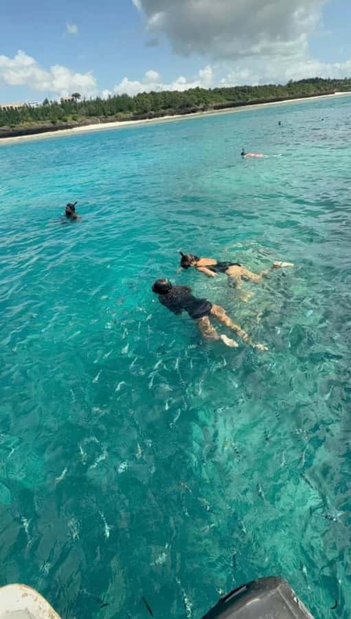 From Zanzibar: Starfish, Blue Lagoon, & The Rock Restaurant - The road transfer affects the value