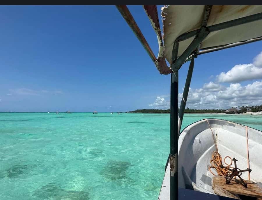 From Zanzibar: Starfish, Blue Lagoon, & The Rock Restaurant - What is included, and what you still need to plan