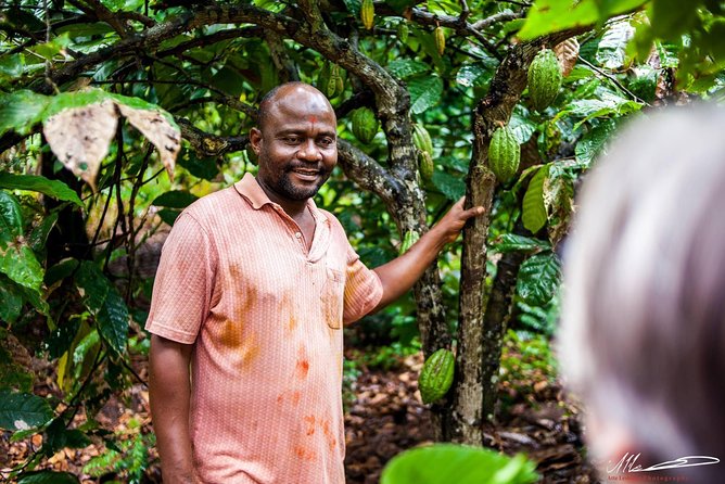 Fruits & Spices Adventure - Starting at the Old Fort at 9:30 am
