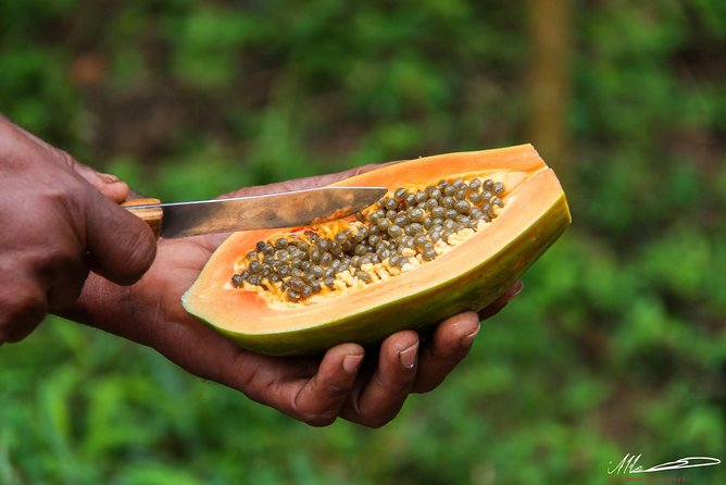 Fruits & Spices Adventure - The strengths and limits in plain terms