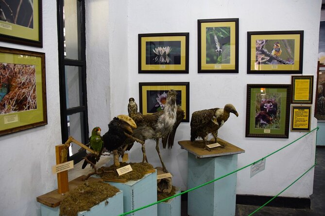 Full Day Arusha City Tour - Boma Museum puts Arusha’s past and nature in one place