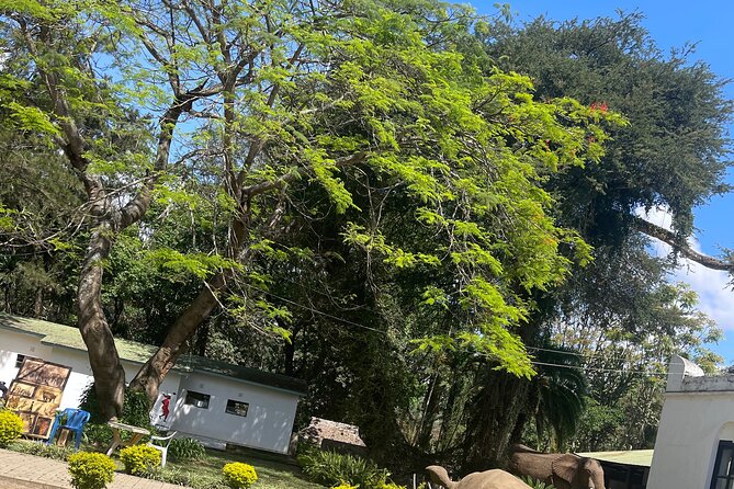 Full Day Arusha City Tour - Maasai Market is the place for bargaining and browsing
