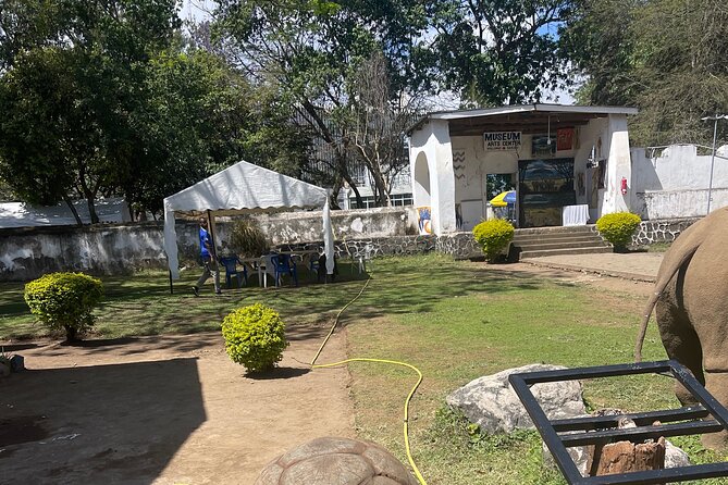 Full Day Arusha City Tour - Transport keeps the day simple, but timing can vary