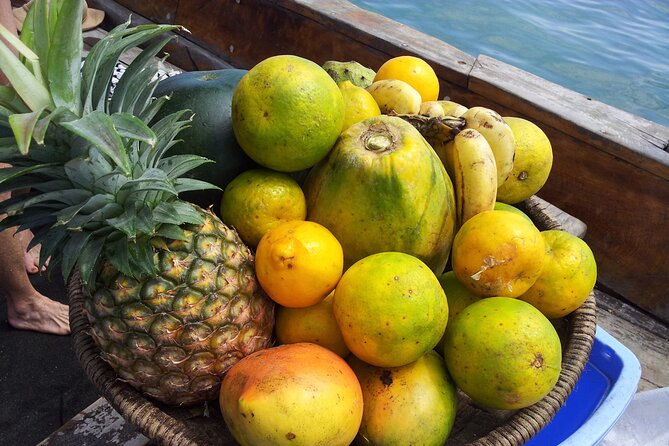 Full day Dolphin tour, Nungwi and Kendwa Beach Tour with Lunch - Baraka Natural Aquarium and Nungwi’s sea turtles