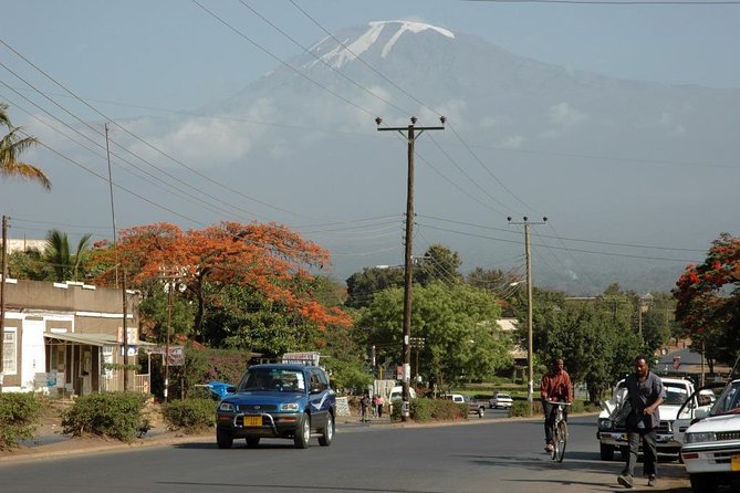 Full-Day Moshi Private Forest Walk and Local Market Tour - Why this Moshi day works well before Kilimanjaro