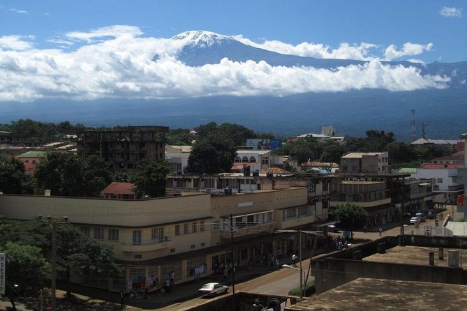 Full-Day Moshi Private Forest Walk and Local Market Tour - Moshi’s coffee country gives the day context