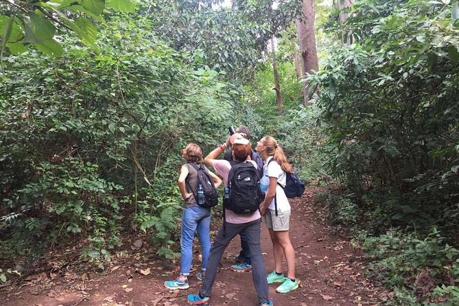 Full-Day Moshi Private Forest Walk and Local Market Tour - Timing, pickup, and the shape of the day