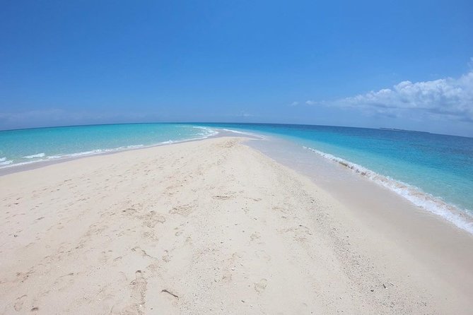 Full-day Prison Island and Nakupenda Sandbank with Lunch buffet - Stone Town sights before the boat