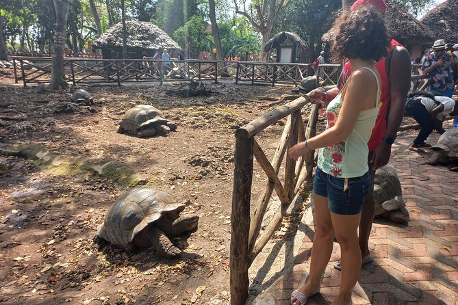 Full-day Prison Island, Nakupenda and Stone Town Tour with Lunch Buffet - What the $136.99 price really buys