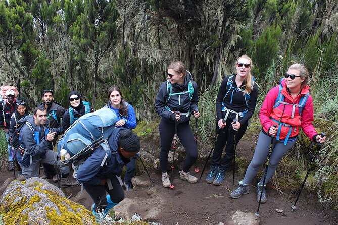 Full Day Private Hiking Tour to Kilimanjaro Mountain - Reaching Mandara Hut for lunch