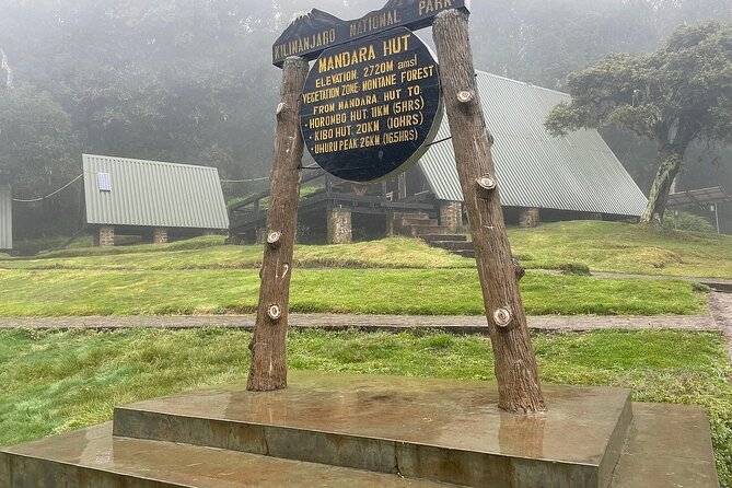 Full Day Private Hiking Tour to Kilimanjaro Mountain - The descent, music, and Kilimanjaro beer