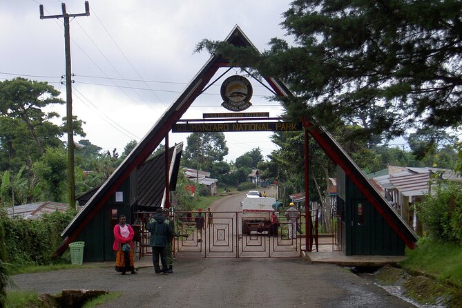 Full Day Private Hiking Tour to Kilimanjaro Mountain - Is $250 good value?