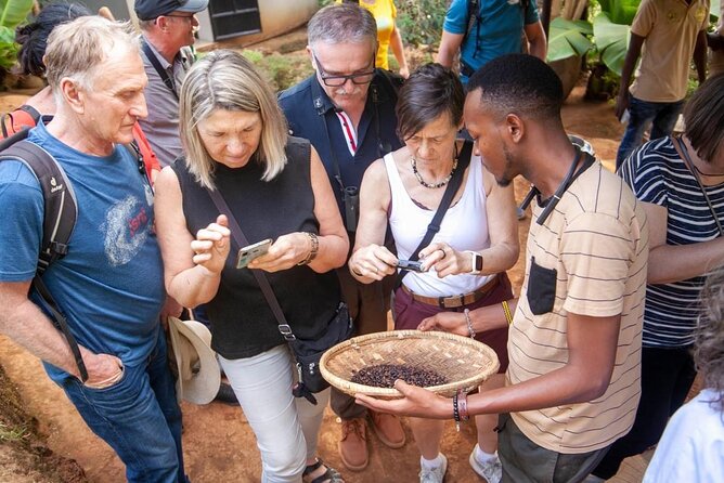 Full-Day Private Materuni Waterfalls and Coffee in Tanzania - Key points to know before booking