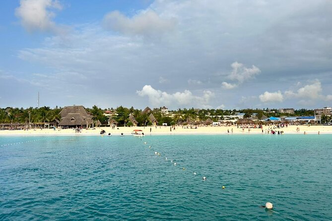 Full Day Private Mnemba Island + Turtles Aquarium & Kendwa Beach - Who should book this Mnemba and Kendwa combination?
