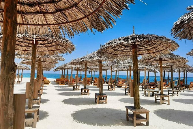 Full Day Private Mnemba Island + Turtles Aquarium & Kendwa Beach - Timing, comfort, and simple preparation