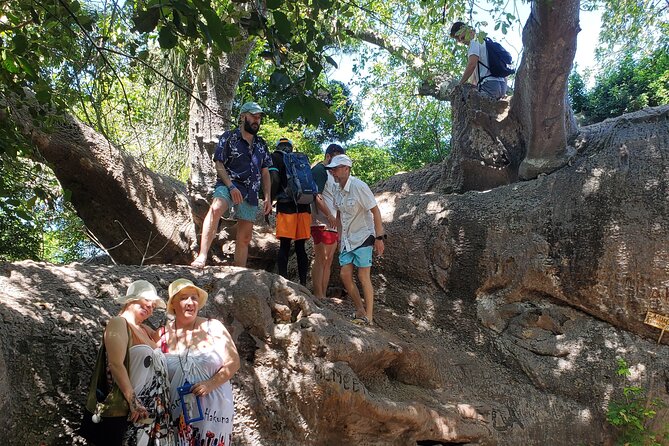 Full Day Private Safari Blue Sea Adventure in Zanzibar - Kwale Island and the old baobab tree