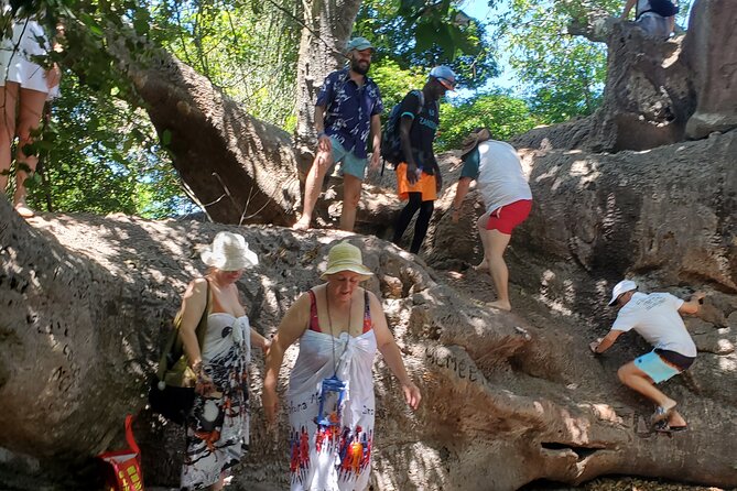 Full Day Private Safari Blue Sea Adventure in Zanzibar - Barbecue lunch, fruit, and local beer
