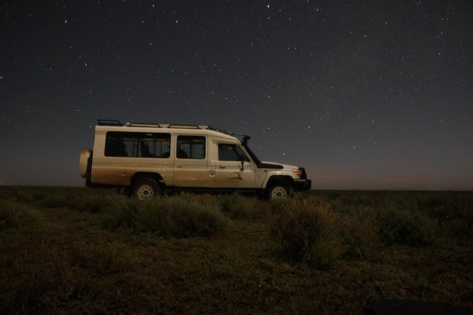 Full-Day Private Serengeti Safari from Mwanza - The 4x4 Makes a Long Day More Manageable