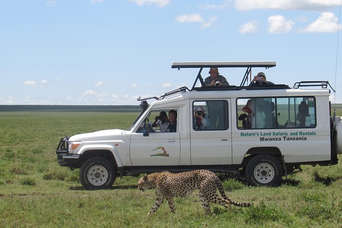 Full-Day Private Serengeti Safari from Mwanza - Reaching Serengeti National Park by 8:00 am