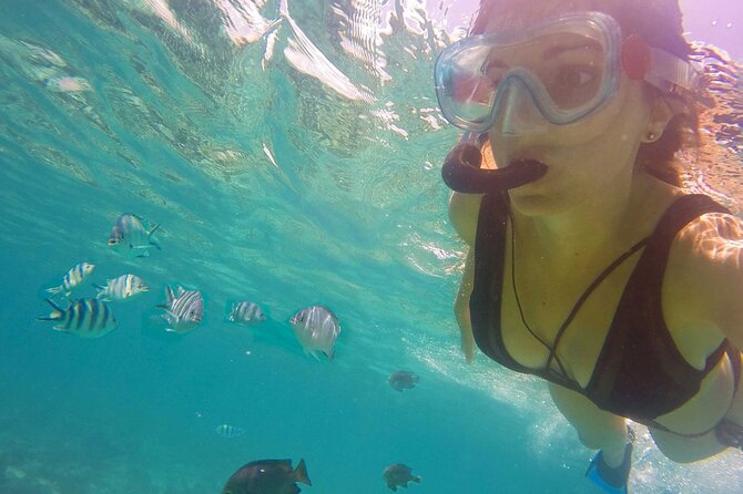 Full - Day Private Zanzibar Tour with dolphins & Sunset Beach - A sea day built around Mnemba Atoll