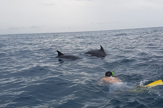 Full - Day Private Zanzibar Tour with dolphins & Sunset Beach - Kendwa Beach and the day’s sunset