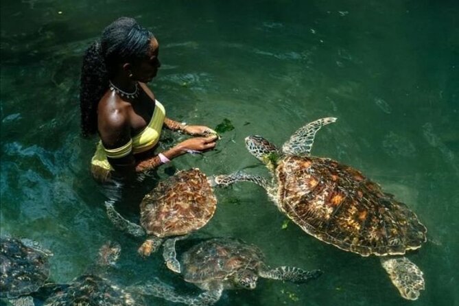 Full Day Private Zanzibar Tour with Sunset Beach - Mnemba Island sets the tone for the morning