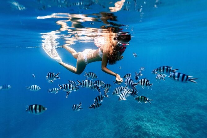 Full Day Private Zanzibar Tour with Sunset Beach - The seven-hour schedule suits active beach days