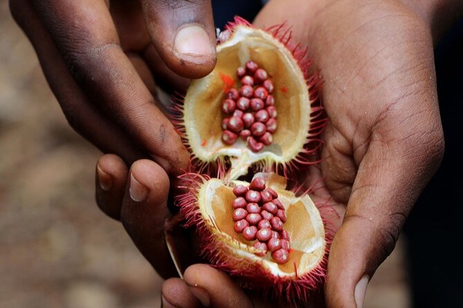 Full Day Private Zanzibar Triple Delight Tour - FAQ