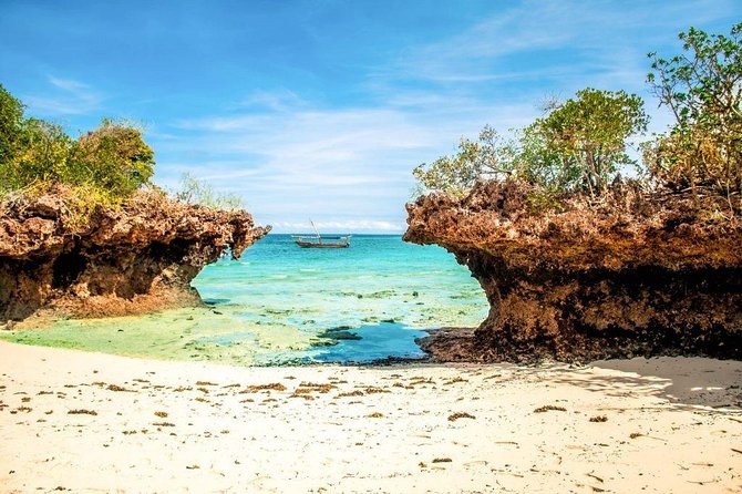 Full-day Safari Blue Trip in Zanzibar with Lunch buffet - The mangrove lagoon brings a different mood