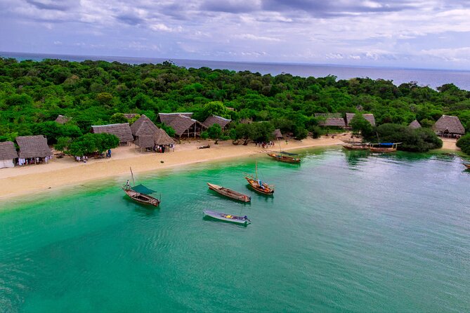 Full Day Safari Blue Zanzibar - Who will enjoy this Safari Blue day
