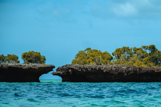 Full Day Safari Blue Zanzibar - Snorkeling beside the mangrove island
