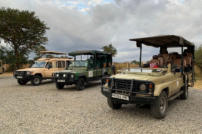 Full-Day Safari Tour from Mikumi National Park of Zanzibar - The afternoon flight back to Zanzibar