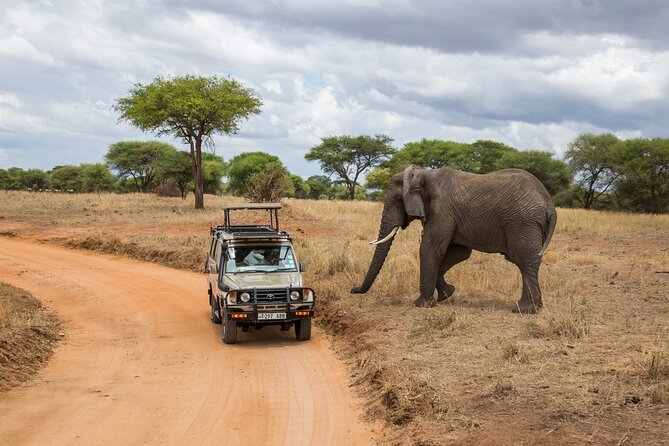 Full-Day Safari Tour from Mikumi National Park of Zanzibar - Is $550 a fair price?