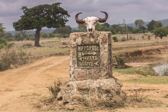 Full-Day Safari Tour from Mikumi National Park of Zanzibar - Who will enjoy this safari most?