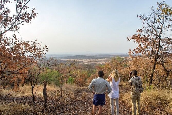 Full-Day Serengeti Tour from Mwanza - Breakfast near Ndabaka Gate