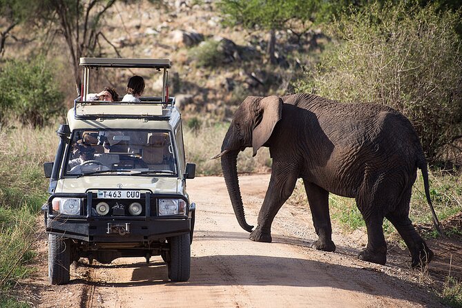 Full-Day Serengeti Tour from Mwanza - Morning game drive along the Grumeti River